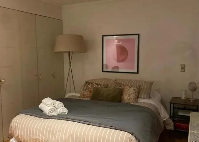 Departamento Estudio En Lastarria, Piscina Con Vista Al Cerro Santa Lucia, Cama Dos Plazas Santiago
