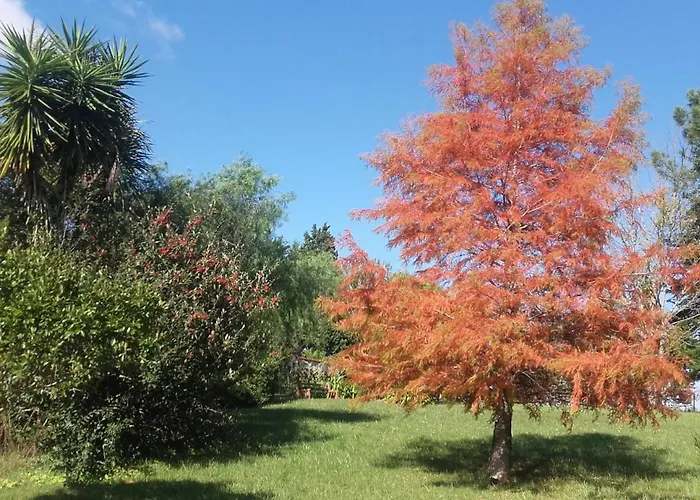 La Mandragora Villa Melo