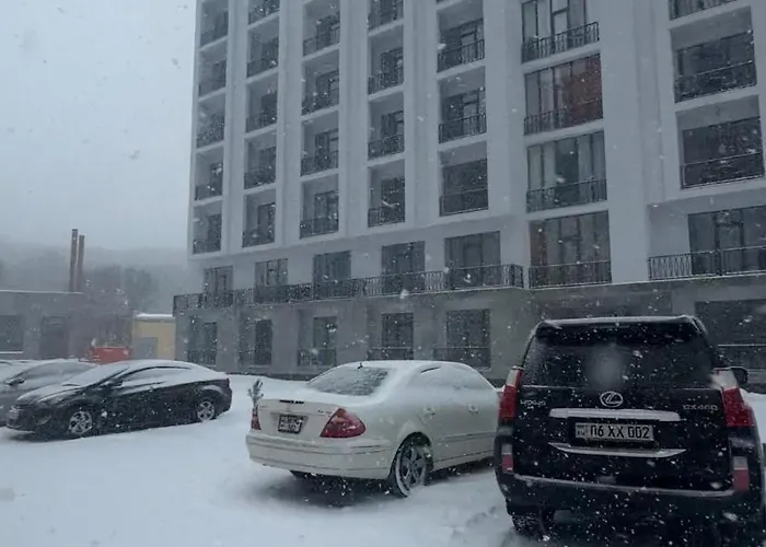 Complex Alvina 2 Tsaghkadzor Aparthotel