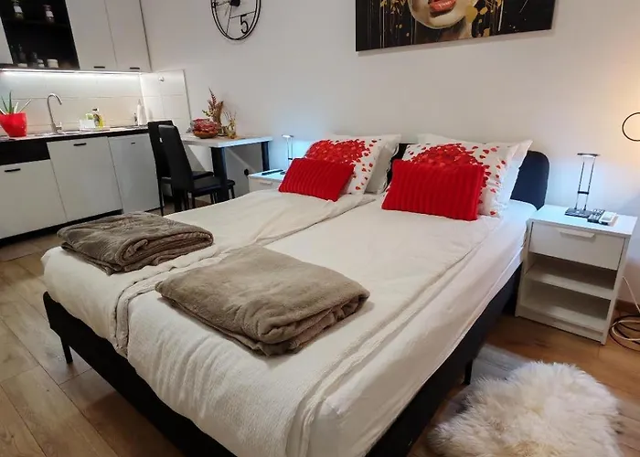 Central Cozy Cute Studio Novi Sad