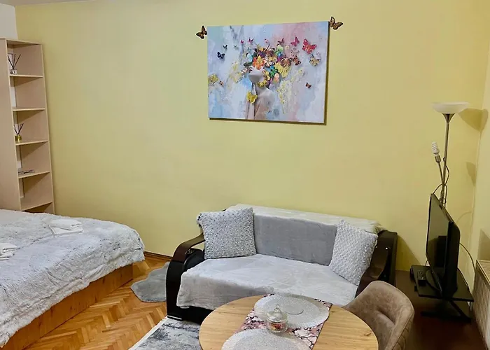 Butterfly Studio - Black Church Brasov