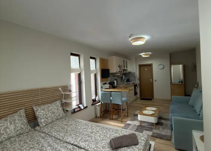 Green Line Studio Appartment Pamporovo