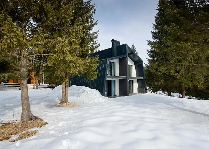 Chalet Marko Jahorina - Dvorista