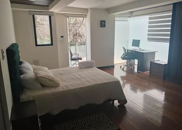 Modern & Luxury Apartment In Sopocachi La Paz