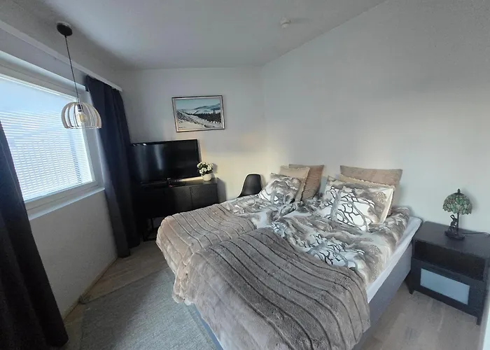 Arctic City Base Apartment Rovaniemi