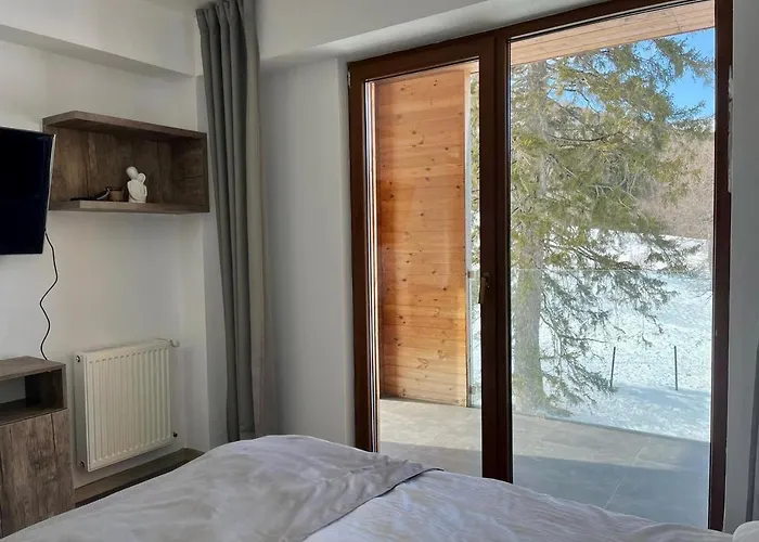 Bakuriani Apartment