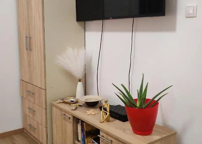 Central Cozy Cute Studio Novi Sad