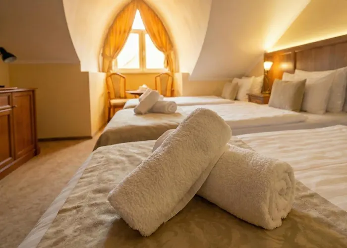 Hotel Maxim Oradea