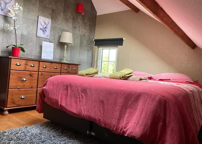 Le Papillon D'Or Bed & Breakfast Arlon