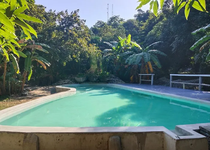 Finca Los Mangos Palomino