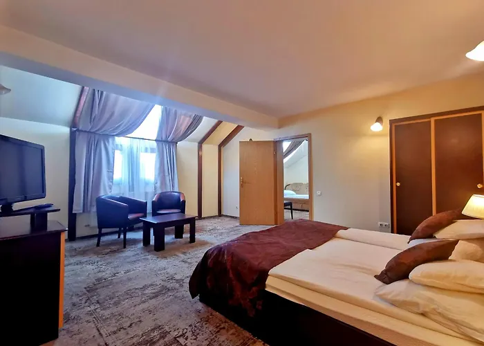 Pensiunea Ambient Brasov