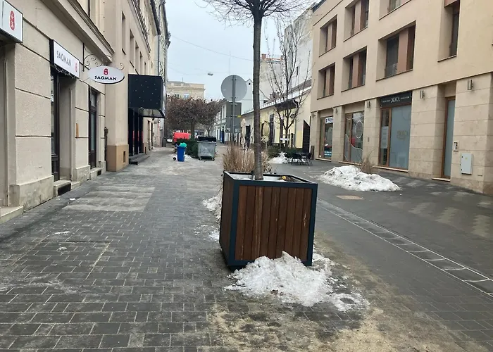City Center Apartment Debrecen