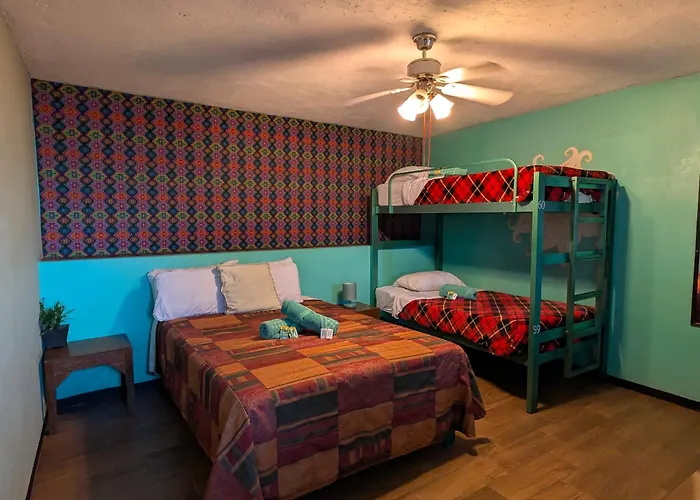 Hierba De Conejo Hostel Oaxaca