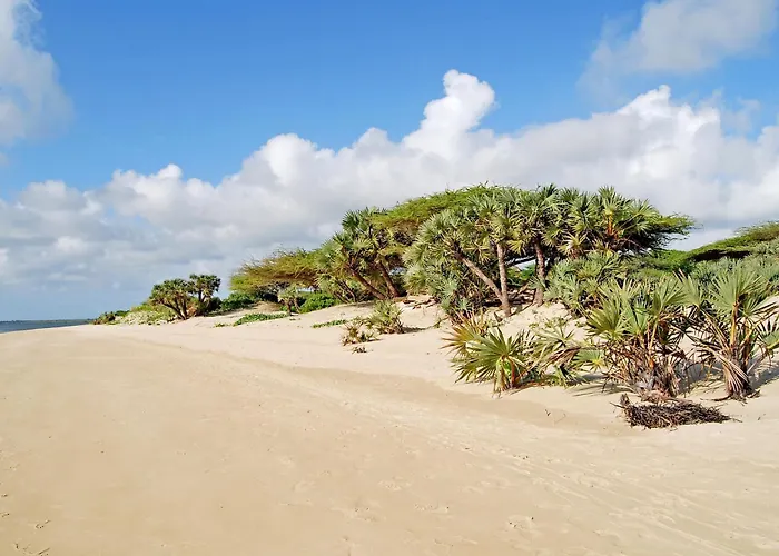 The Majlis Resort Lamu