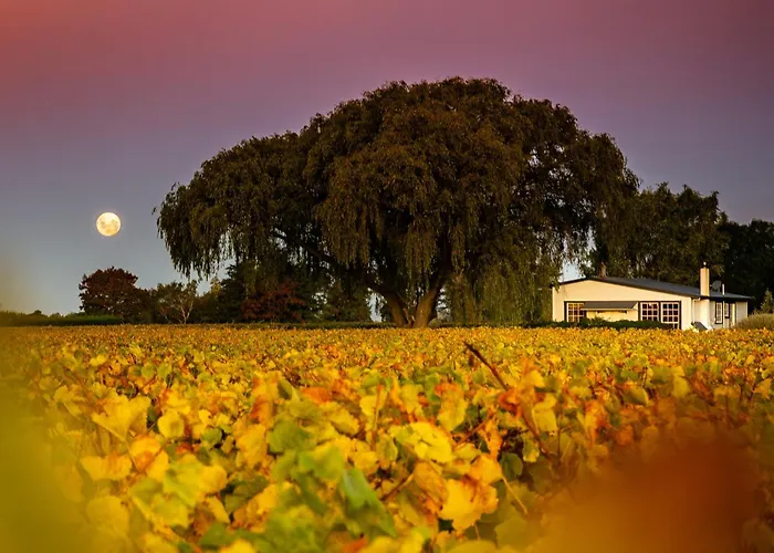 St Leonards Vineyard Cottages Blenheim