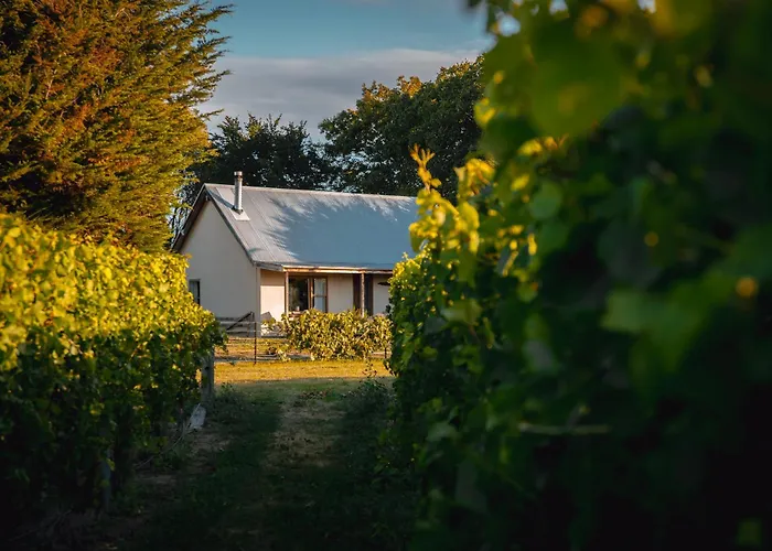 St Leonards Vineyard Cottages Blenheim