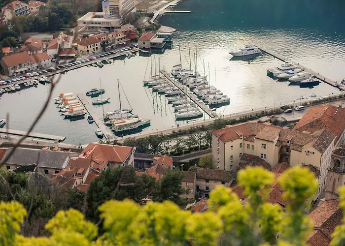 Step To Kotor Bay Old Town Apartment