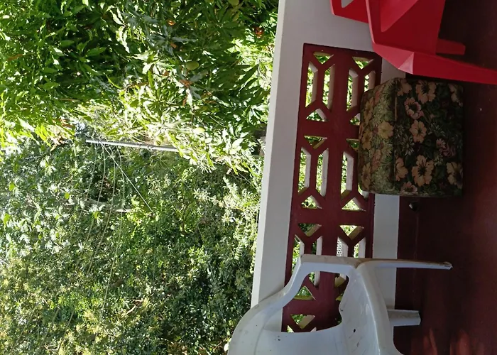 Cocoa Cabana Scarborough