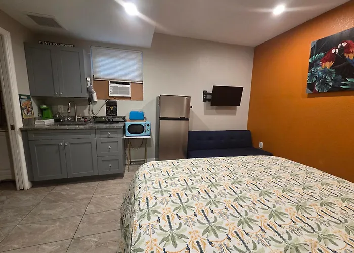 Jungle Oasis By Busch Gardens Usf And Amphitheater Apartment Tampa