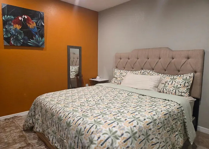Jungle Oasis By Busch Gardens Usf And Amphitheater Apartment Tampa