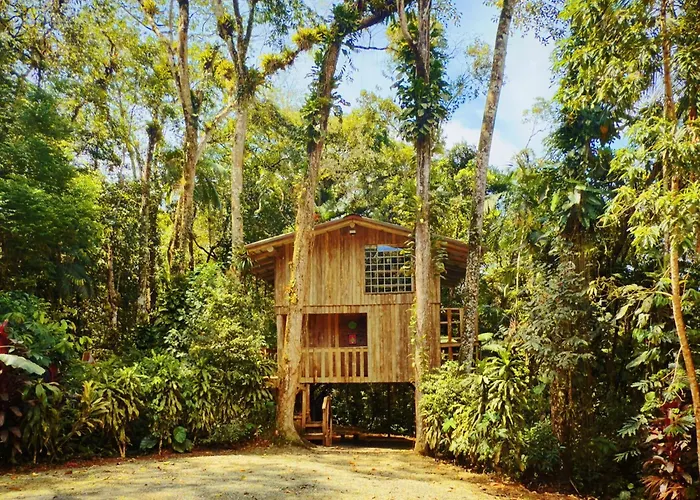 Casa Da Arvore Joinville