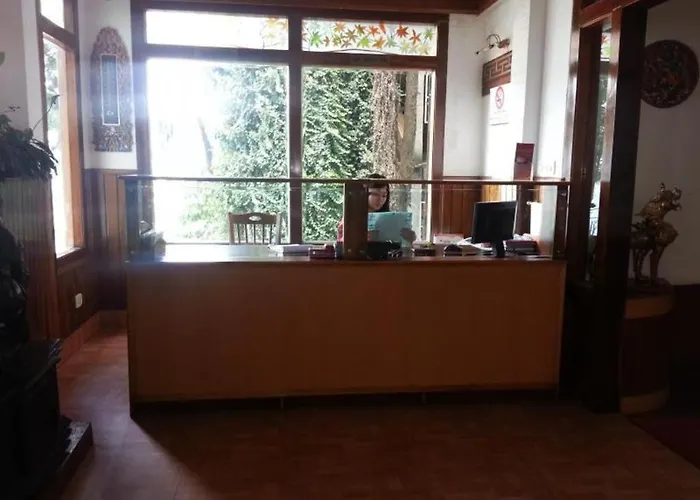Hotel Tashi Delek Gangtok
