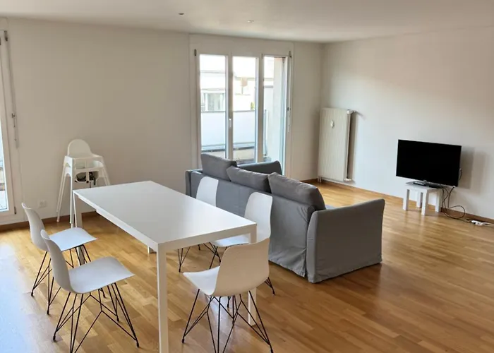 New Penthouse Loft With Rooftop Terrace 50Sqm, Hot Tub, Open Kitchen Island, 2 Bedroom City Center Basel