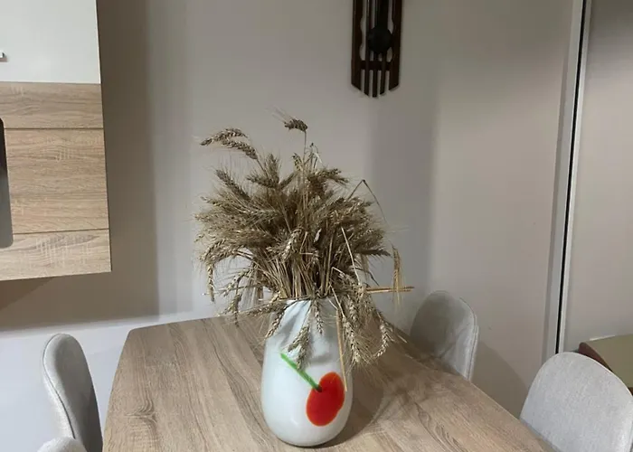 Kalpazo Rental Bloom Tirana