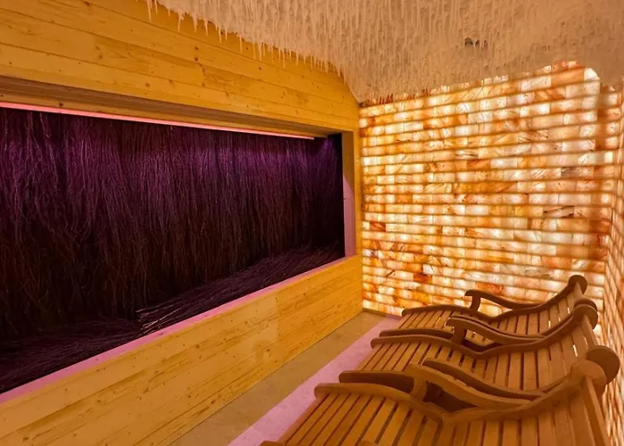Hotel Ara - Dancing Club Restauracja Kameralne Spa Ara Jastrzebia Gora