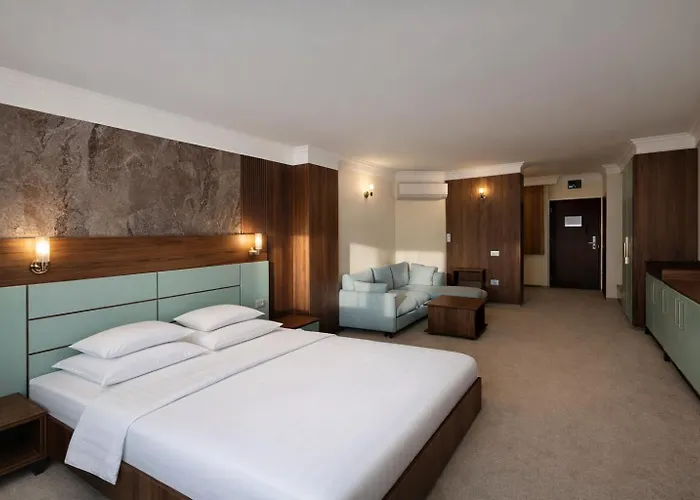 Hotel President Arad