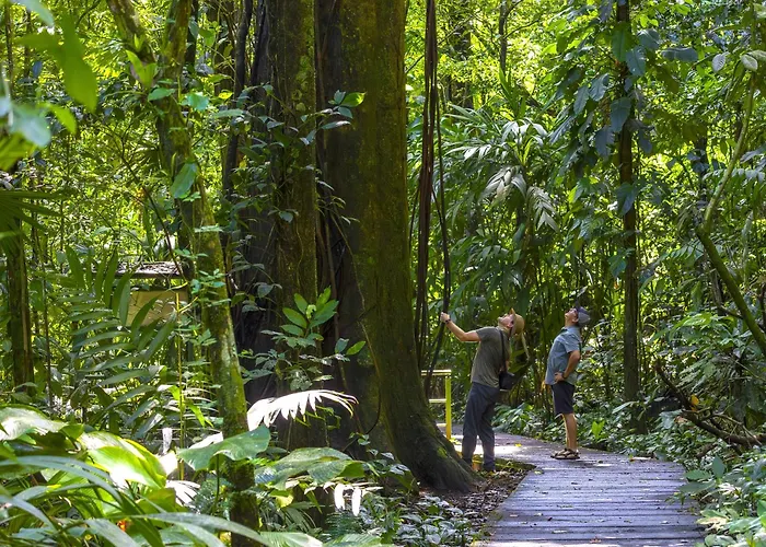 Evergreen Lodge Tortuguero