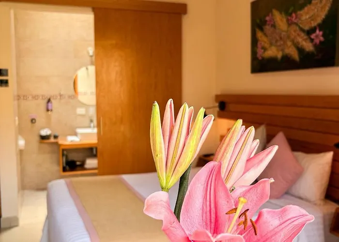 Arcosodi Hotel Boutique Oaxaca