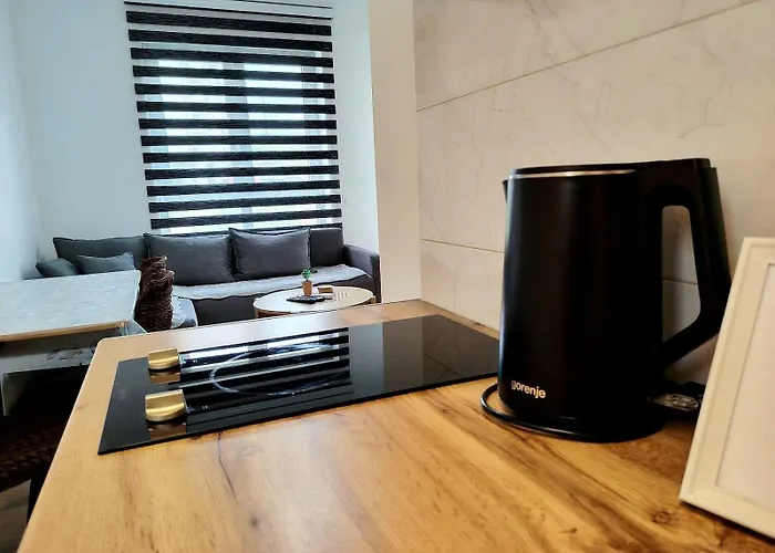 Apartman Ruzica Sokobanja
