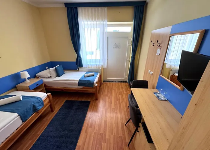 Hotel Viktoria Sarvar