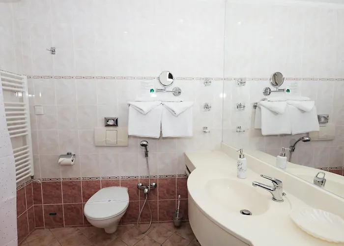 Hotel Pavlov Karlovy Vary
