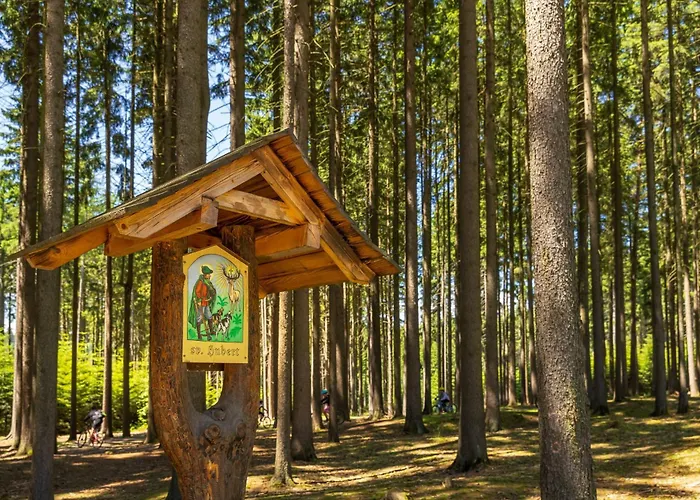 Hotel Ski Nove Mesto na Morave