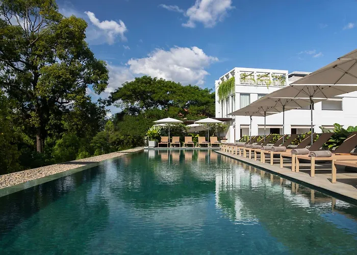 Treeline Urban Resort Siem Reap