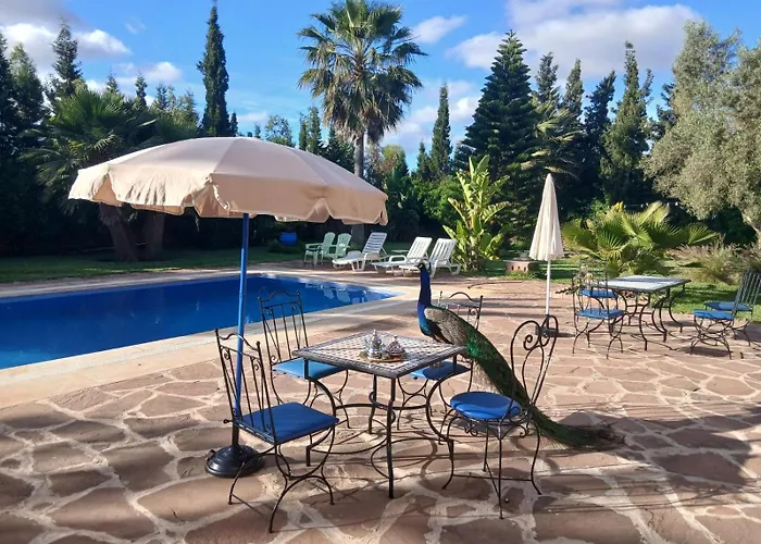 Riad Tanjil Nouaceur