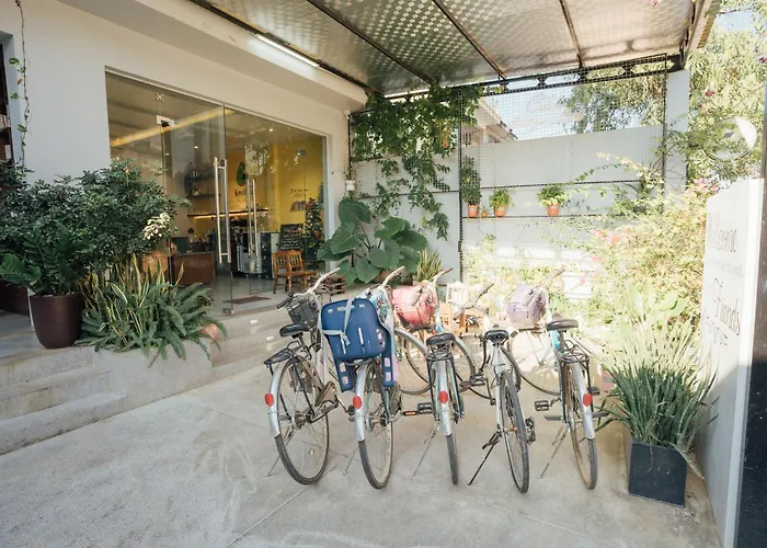 Celia Boutique Hotel Phong Nha
