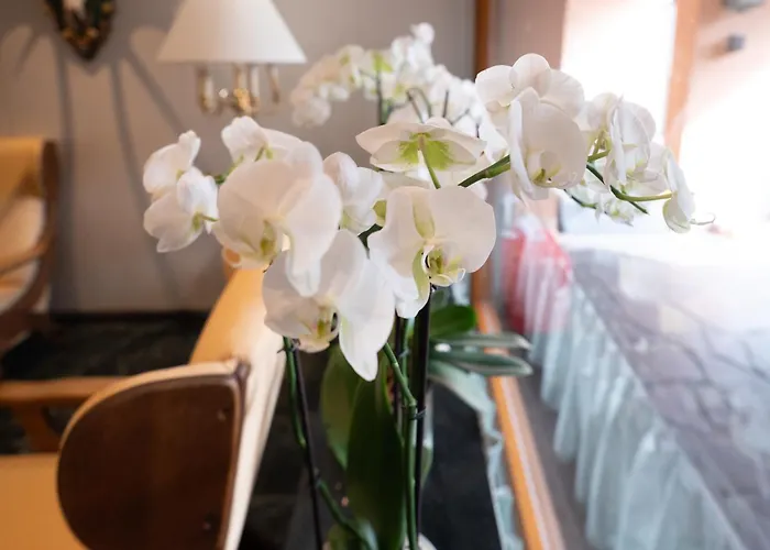 Hotel Haus Arenberg Salzburg