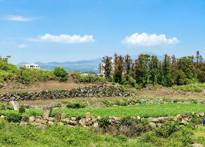 Y Resort Jeju Seogwipo