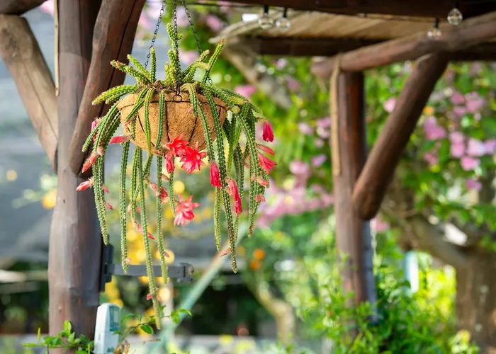 B&B La Casa Nel Giardino Piano di Sorrento