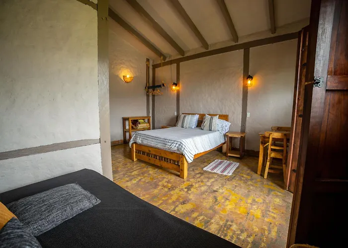 Coffee Tree Boutique Hostel Salento
