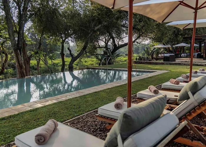 Karongwe - Becks Safari Lodge Hoedspruit