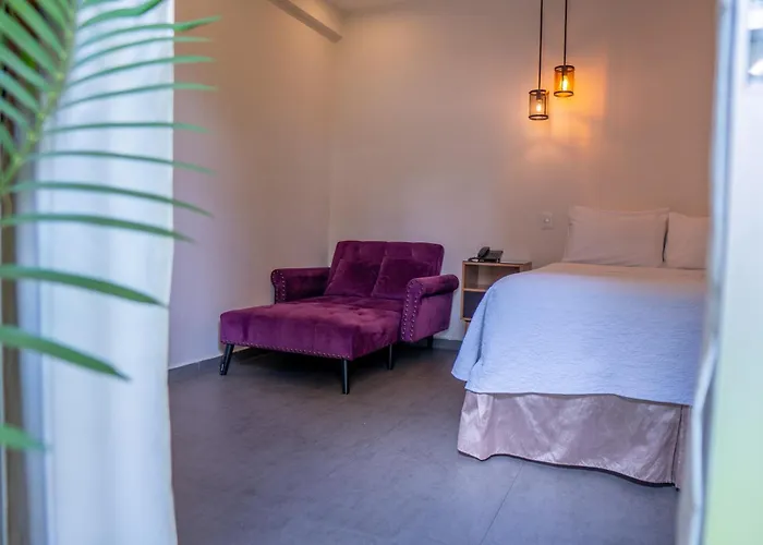 Kaleo Hotel Boutique San Salvador