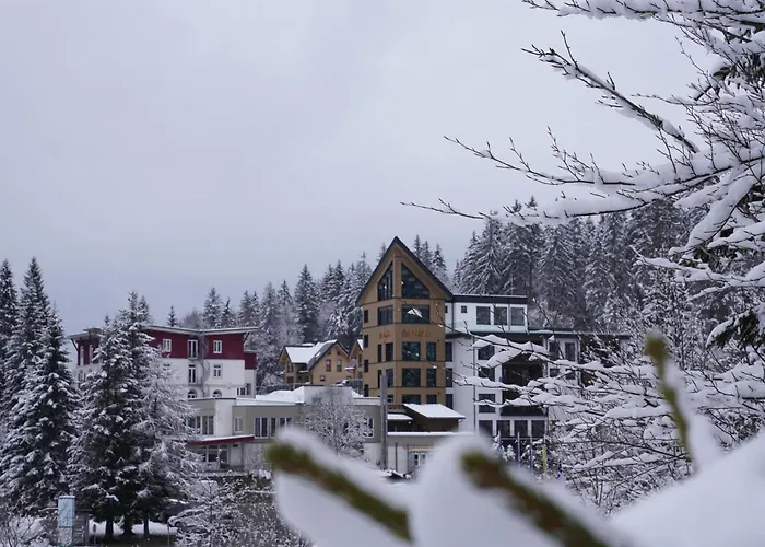 Das Waldhotel - Genuss & Wellness Am Notschreipass Todtnau
