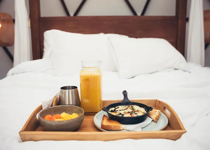 Domus Glamping Guatape Hotel