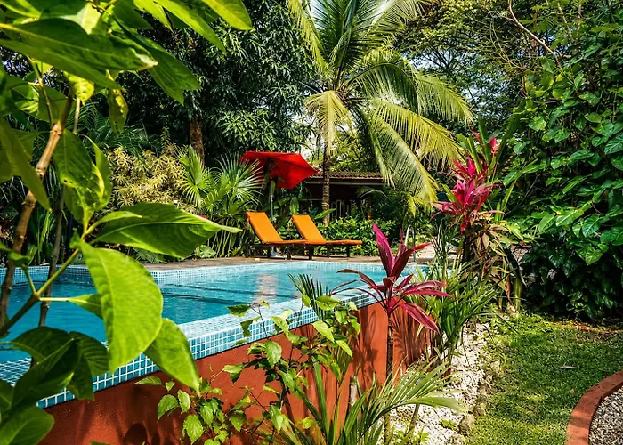 Casa Mapache Pool And Breakfast Available Near Tamarindo Beach