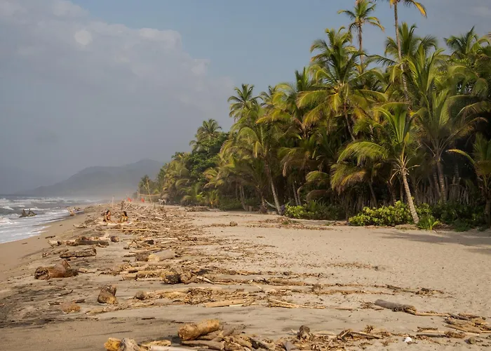 Lote 10 Tayrona Glamping Hotel Guachaca