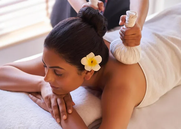 Palchan Hotel & Spa - A Member Of Radisson Individuals Retreats Manali 